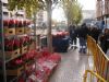 REPARTEN 1.000 MACETAS DE FLORES DE PASCUA EN EL MERCADILLO SEMANAL CON MOTIVO DE LA NAVIDAD