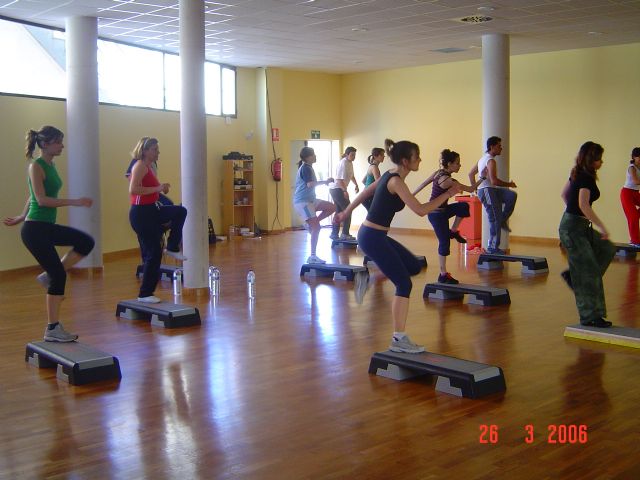 LA SALA POLIVALENTE DE LA PISCINA CUBIERTA ACOGE UN SEMINARIO DE AERÓBIC Y STEP, CON LA PARTICIPACIÓN DE 15 PERSONAS  - 1