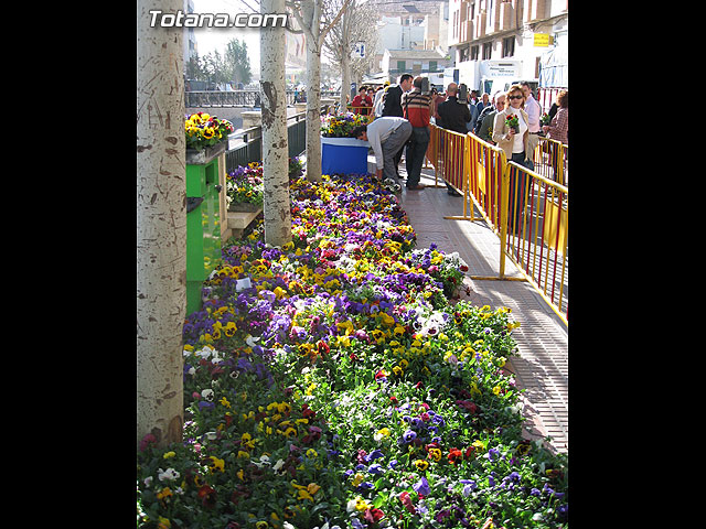 LA CONCEJALA DE PARQUES Y JARDINES REPARTE MS DE 2.500 PLANTAS EN EL MERCADILLO SEMANAL PARA CELEBRAR LA ENTRADA DE LA PRIMAVERA EN TOTANA - 3