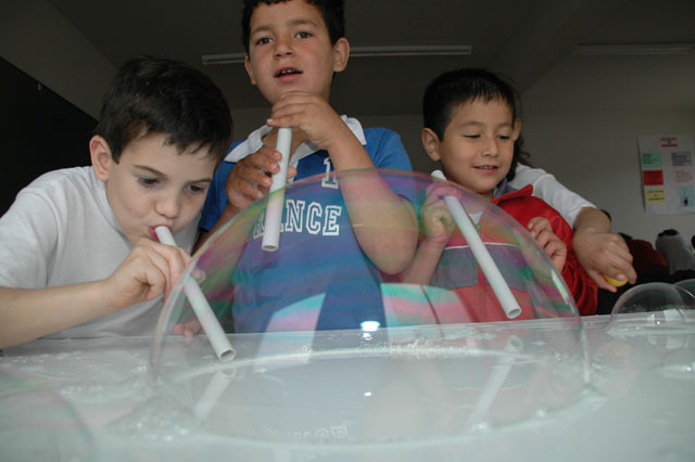 Segundo año consecutivo  de enseñar deleitando en el Colegio Reina Sofía - 11