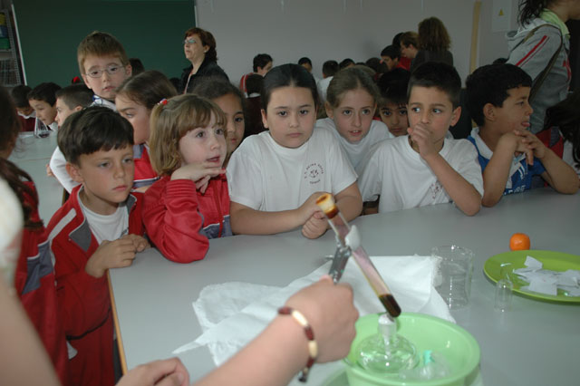 Segundo año consecutivo  de enseñar deleitando en el Colegio Reina Sofía - 15