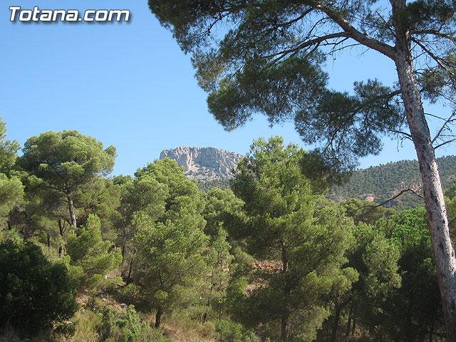 SE CLAUSURA EL IX CAMPO INTERNACIONAL TRABAJO “LAS ALQUERÍAS” EN EL PARQUE REGIONAL DE SIERRA ESPUÑA - 2