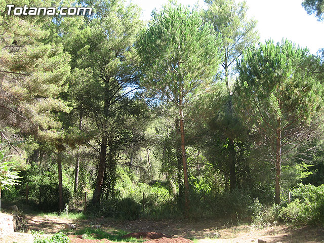 SE CLAUSURA EL IX CAMPO INTERNACIONAL TRABAJO “LAS ALQUERÍAS” EN EL PARQUE REGIONAL DE SIERRA ESPUÑA - 3