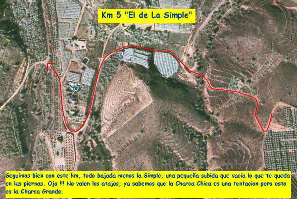 VI CHARCA GRANDE GRAN PREMIO PANZAMELBA - 5 VI CHARCA GRANDE GRAN PREMIO PANZAMELBA - 5