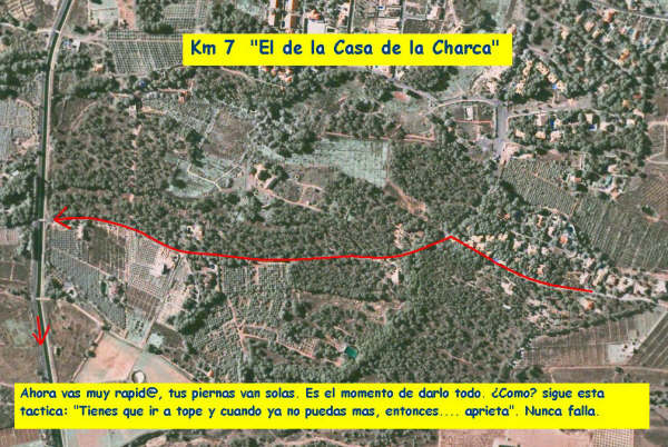 VI CHARCA GRANDE GRAN PREMIO PANZAMELBA - 7 VI CHARCA GRANDE GRAN PREMIO PANZAMELBA - 7