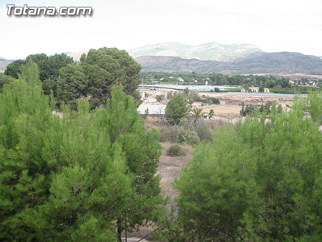 SE PONEN EN FUNCIONAMIENTO LAS 10 NUEVAS PLAZAS ASISTIDAS EN LA RESIDENCIA DE MAYORES “LA PURÍSIMA” DE TOTANA QUE FINANCIARÁ LA COMUNIDAD AUTÓNOMA - 14