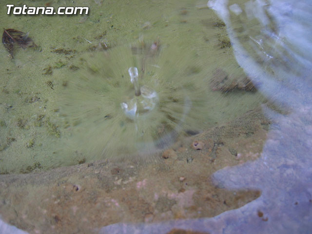 AUTORIDADES LOCALES VISITAN ALGUNOS COLEGIOS DE TOTANA PARA COMPROBAR EL ESTADO DE EJECUCIÓN DE LAS OBRAS Y EL FUNCIONAMIENTO DE LOS NUEVOS SERVICIOS - 5 AUTORIDADES LOCALES VISITAN ALGUNOS COLEGIOS DE TOTANA PARA COMPROBAR EL ESTADO DE EJECUCIÓN DE LAS OBRAS Y EL FUNCIONAMIENTO DE LOS NUEVOS SERVICIOS - 5