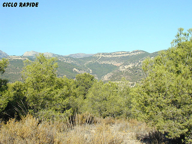 1ª SALIDA B.T.T. AYTO.TOTANA. TOTANA, SIERRA DE LA MUELA - 31