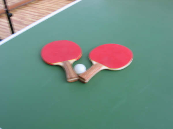 EL CAMPEONATO DE TENIS DE MESA PARA DISCAPACITADOS PSÍQUICOS TODO UN ÉXITO - 1 EL CAMPEONATO DE TENIS DE MESA PARA DISCAPACITADOS PSÍQUICOS TODO UN ÉXITO - 1