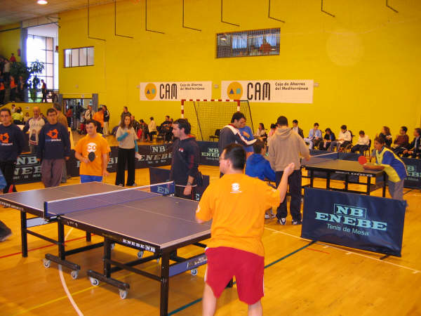 EL CAMPEONATO DE TENIS DE MESA PARA DISCAPACITADOS PSÍQUICOS TODO UN ÉXITO - 9 EL CAMPEONATO DE TENIS DE MESA PARA DISCAPACITADOS PSÍQUICOS TODO UN ÉXITO - 9