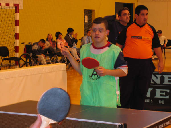 EL CAMPEONATO DE TENIS DE MESA PARA DISCAPACITADOS PSÍQUICOS TODO UN ÉXITO - 19 EL CAMPEONATO DE TENIS DE MESA PARA DISCAPACITADOS PSÍQUICOS TODO UN ÉXITO - 19