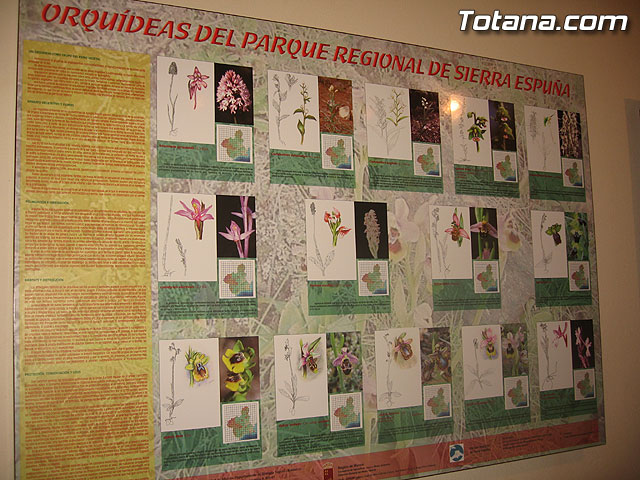 LOS AMANTES DE LA NATURALEZA YA DISPONEN DE NUEVAS RUTAS ACONDICIONADAS EN LOS 11 SENDEROS NATURALES DEL PARQUE REGIONAL SIERRA ESPUÑA - 9 LOS AMANTES DE LA NATURALEZA YA DISPONEN DE NUEVAS RUTAS ACONDICIONADAS EN LOS 11 SENDEROS NATURALES DEL PARQUE REGIONAL SIERRA ESPUÑA - 9