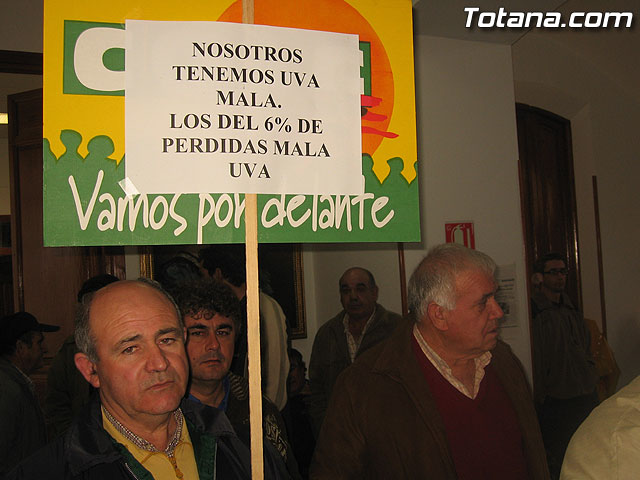 EL PLENO DEL AYUNTAMIENTO DE TOTANA APRUEBA UNA MOCIÓN CONJUNTA DE APOYO A LOS AGRICULTORES DE PARRALES DE UVA AFECTADOS POR LAS LLUVIAS DE NOVIEMBRE Y PEDIR AYUDAS A LAS ADMINISTRACIONES IMPLICADAS - 6 EL PLENO DEL AYUNTAMIENTO DE TOTANA APRUEBA UNA MOCIÓN CONJUNTA DE APOYO A LOS AGRICULTORES DE PARRALES DE UVA AFECTADOS POR LAS LLUVIAS DE NOVIEMBRE Y PEDIR AYUDAS A LAS ADMINISTRACIONES IMPLICADAS - 6