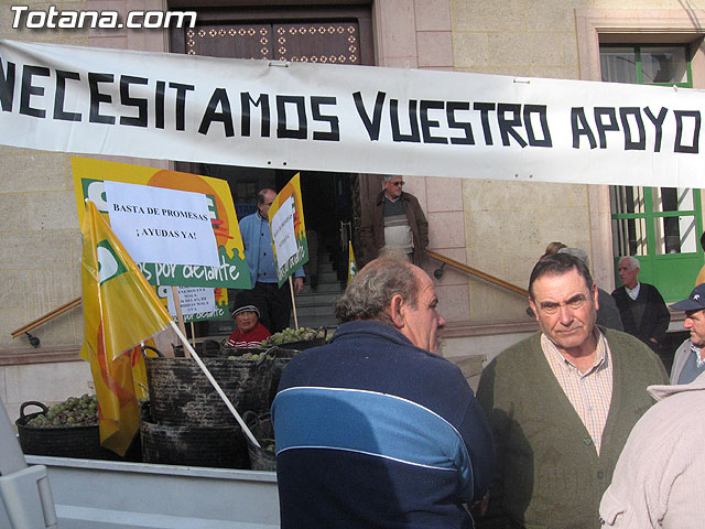 EL PLENO DEL AYUNTAMIENTO DE TOTANA APRUEBA UNA MOCIN CONJUNTA DE APOYO A LOS AGRICULTORES DE PARRALES DE UVA AFECTADOS POR LAS LLUVIAS DE NOVIEMBRE Y PEDIR AYUDAS A LAS ADMINISTRACIONES IMPLICADAS - 11