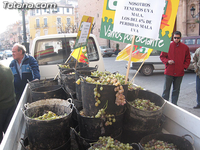 EL PLENO DEL AYUNTAMIENTO DE TOTANA APRUEBA UNA MOCIÓN CONJUNTA DE APOYO A LOS AGRICULTORES DE PARRALES DE UVA AFECTADOS POR LAS LLUVIAS DE NOVIEMBRE Y PEDIR AYUDAS A LAS ADMINISTRACIONES IMPLICADAS - 13 EL PLENO DEL AYUNTAMIENTO DE TOTANA APRUEBA UNA MOCIÓN CONJUNTA DE APOYO A LOS AGRICULTORES DE PARRALES DE UVA AFECTADOS POR LAS LLUVIAS DE NOVIEMBRE Y PEDIR AYUDAS A LAS ADMINISTRACIONES IMPLICADAS - 13