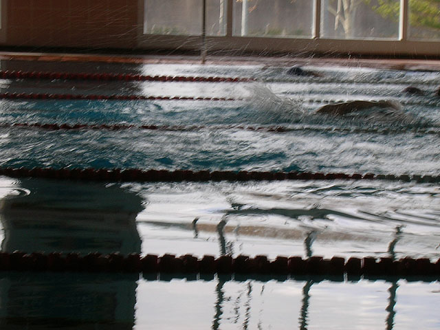 SIETE ALUMNOS DEL C. O. “JOSÉ MOYÁ” PARTICIPARON EN EL CAMPEONATO REGIONAL DE NATACIÓN EN LORCA - 8 SIETE ALUMNOS DEL C. O. “JOSÉ MOYÁ” PARTICIPARON EN EL CAMPEONATO REGIONAL DE NATACIÓN EN LORCA - 8