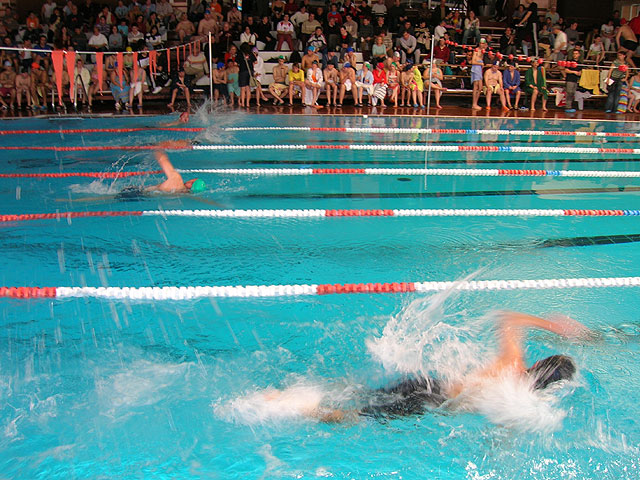 SIETE ALUMNOS DEL C. O. “JOSÉ MOYÁ” PARTICIPARON EN EL CAMPEONATO REGIONAL DE NATACIÓN EN LORCA - 17 SIETE ALUMNOS DEL C. O. “JOSÉ MOYÁ” PARTICIPARON EN EL CAMPEONATO REGIONAL DE NATACIÓN EN LORCA - 17