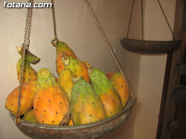 Belén de Chari Burgos Tudela - 5