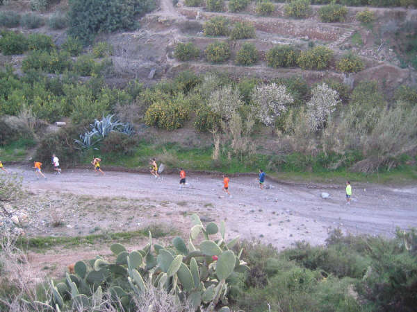 TERCERA JORNADA DEL II CIRCUITO DE CARRERAS ORGANIZADO POR EL CLUB DE ATLETISMO ÓPTICA SANTA EULALIA - 19