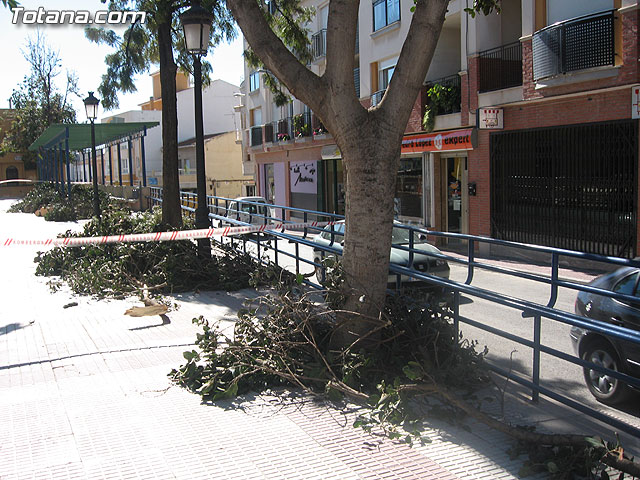 LA CONCEJALÍA DE SEGURIDAD Y PROTECCIÓN CIVIL MANTIENE EL DISPOSITIVO DE ALERTA ANTE EL FUERTE TEMPORAL DE VIENTO EN ESTE MUNICIPIO - 7 LA CONCEJALÍA DE SEGURIDAD Y PROTECCIÓN CIVIL MANTIENE EL DISPOSITIVO DE ALERTA ANTE EL FUERTE TEMPORAL DE VIENTO EN ESTE MUNICIPIO - 7