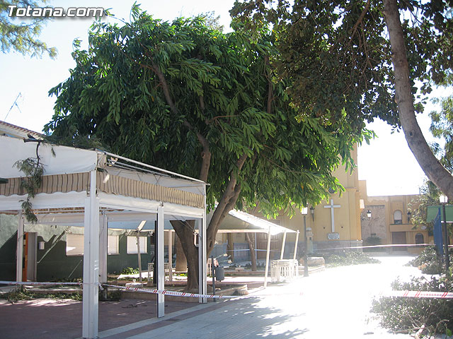 LA CONCEJALÍA DE SEGURIDAD Y PROTECCIÓN CIVIL MANTIENE EL DISPOSITIVO DE ALERTA ANTE EL FUERTE TEMPORAL DE VIENTO EN ESTE MUNICIPIO - 8 LA CONCEJALÍA DE SEGURIDAD Y PROTECCIÓN CIVIL MANTIENE EL DISPOSITIVO DE ALERTA ANTE EL FUERTE TEMPORAL DE VIENTO EN ESTE MUNICIPIO - 8