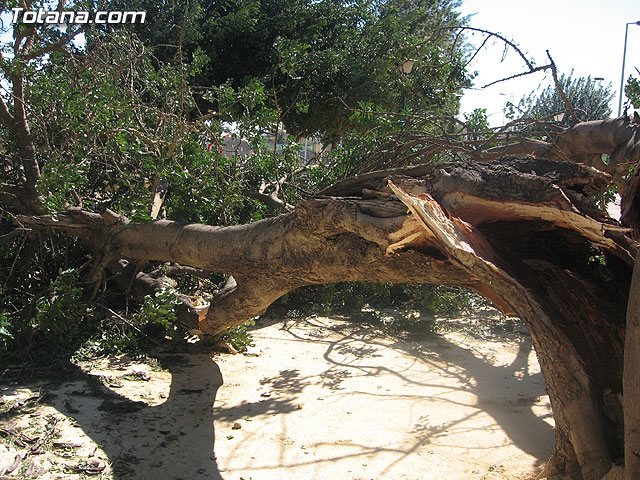 LA CONCEJALÍA DE SEGURIDAD Y PROTECCIÓN CIVIL MANTIENE EL DISPOSITIVO DE ALERTA ANTE EL FUERTE TEMPORAL DE VIENTO EN ESTE MUNICIPIO - 20 LA CONCEJALÍA DE SEGURIDAD Y PROTECCIÓN CIVIL MANTIENE EL DISPOSITIVO DE ALERTA ANTE EL FUERTE TEMPORAL DE VIENTO EN ESTE MUNICIPIO - 20