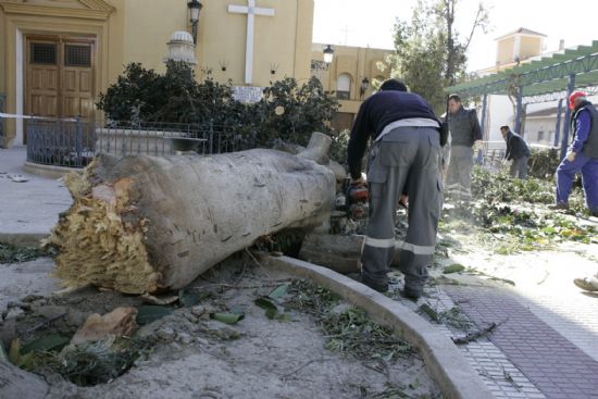 LA CONCEJALÍA DE SEGURIDAD Y PROTECCIÓN CIVIL MANTIENE EL DISPOSITIVO DE ALERTA ANTE EL FUERTE TEMPORAL DE VIENTO EN ESTE MUNICIPIO - 21 LA CONCEJALÍA DE SEGURIDAD Y PROTECCIÓN CIVIL MANTIENE EL DISPOSITIVO DE ALERTA ANTE EL FUERTE TEMPORAL DE VIENTO EN ESTE MUNICIPIO - 21