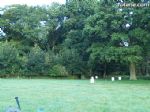 BFTA European FT Championships