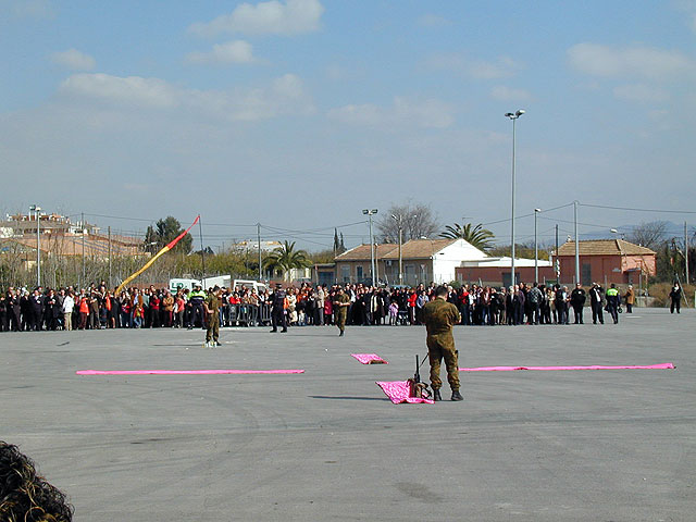 TOTANA ESTUVO PRESENTE EN EL DA DEL NAZARENO 2008, QUE TUVO LUGAR EN ALCANTARILLA - 39