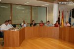 Pleno ordinario julio 2008