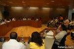 Pleno ordinario junio 2008