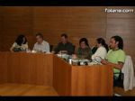 Pleno ordinario mayo 2008