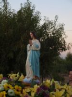 Raiguero La Verónica - 116 Raiguero La Verónica