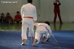 Exhibición de Aikido