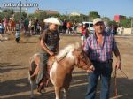 Caballos, burros