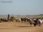 Caballos, burros