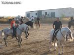 Caballos, burros