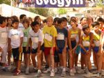 Cross escolar
