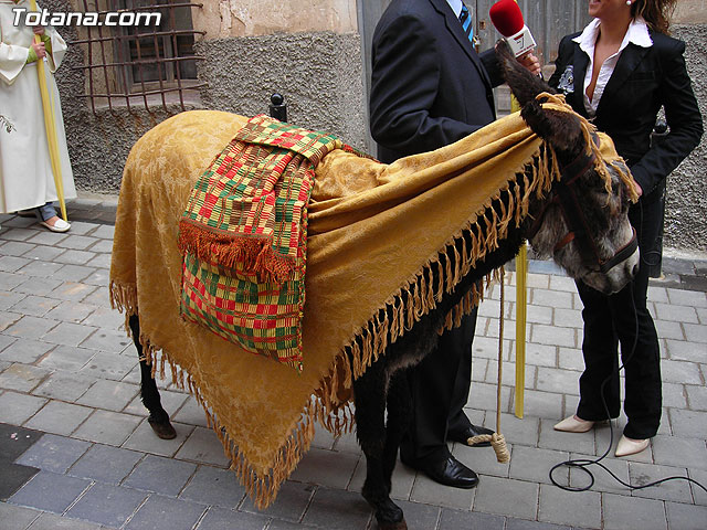 Domingo de Ramos. Semana Santa 2007. Reportaje II - 33