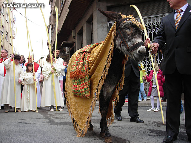 Domingo de Ramos. Semana Santa 2007. Reportaje II - 122