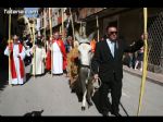 Domingo de Ramos - Foto 150