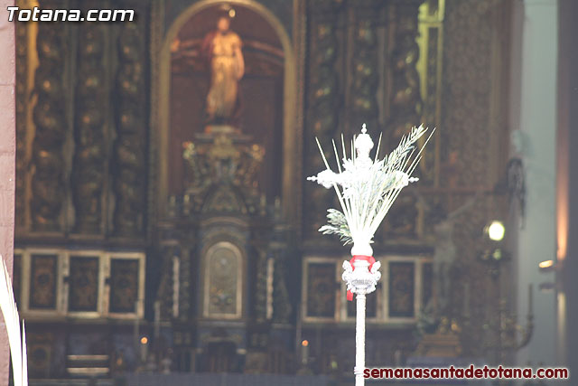 Domingo de Ramos. Parroquia de Santiago. Semana Santa 2010 - 446