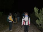 Ruta nocturna 