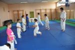 Judo y Pinpon