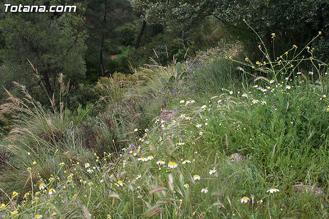 Jornada de convivencia en La Santa. Hermandades y Cofradas. 19/04/2009 - 82