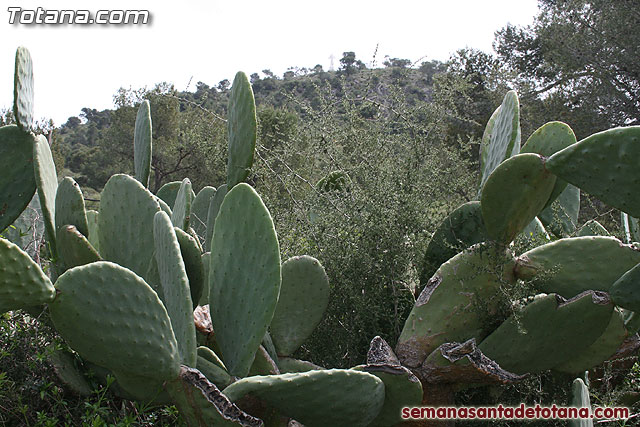 Jornada de convivencia en La Santa. Hermandades y cofradas. 11/04/2010 - 94