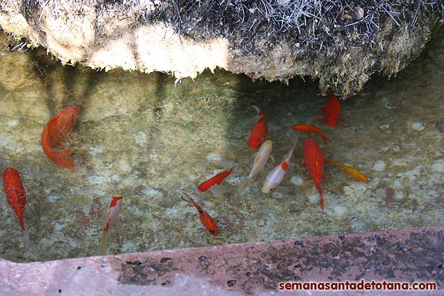 Jornada de convivencia en La Santa. Hermandad de Santa Mara Magdalena. 2010 - 126