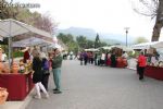 Mercadillo Primavera 