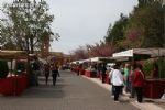 Mercadillo Primavera 