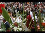 Ofrenda Santa Eulalia